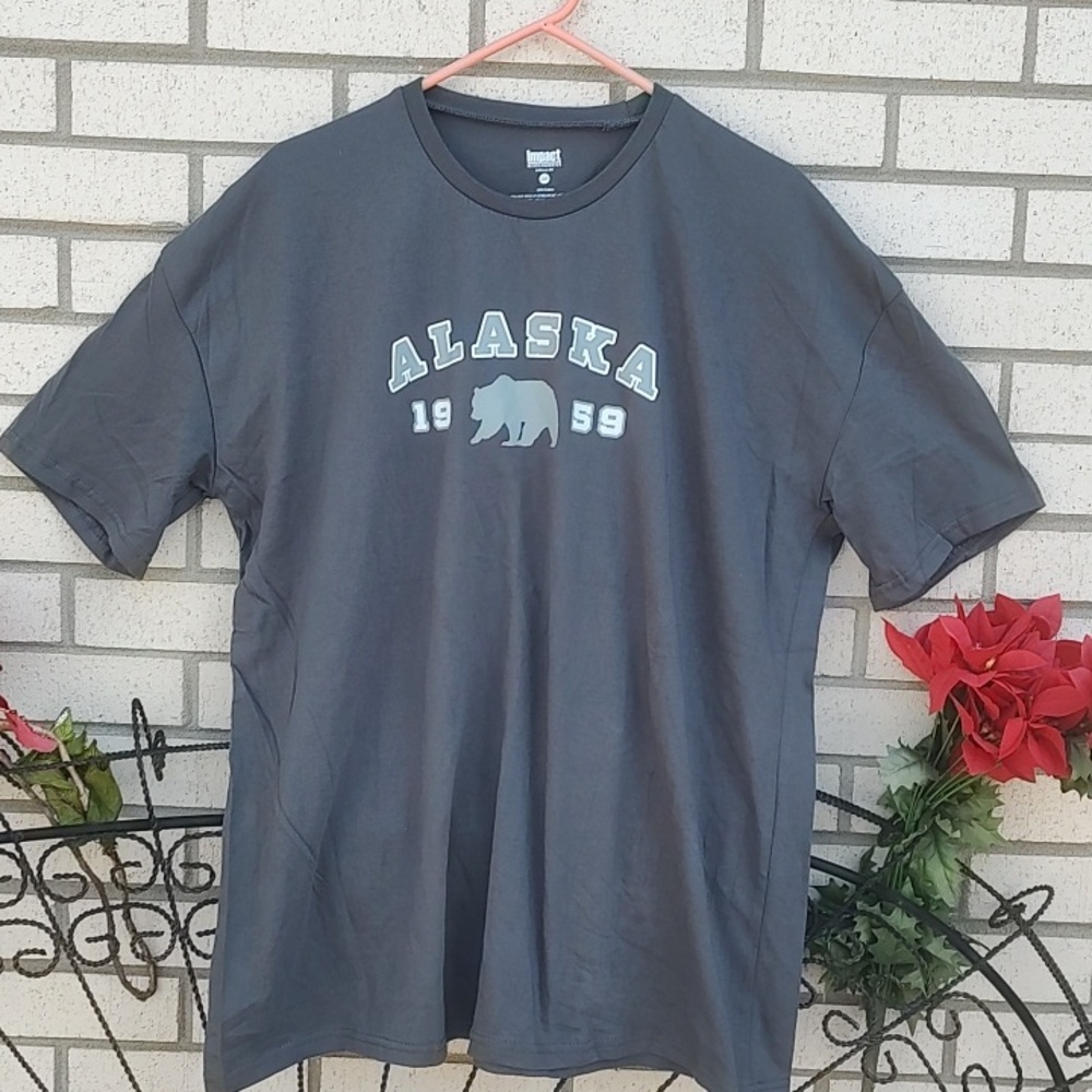 Alaska,T-Shirt - Gray - Picture 2 of 8